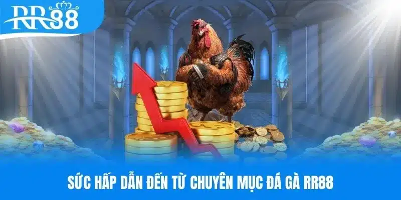 Ưu điểm làm nên thành công cho chuyên mục đá gà RR88 